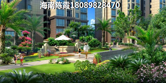 金澜湾怎么样