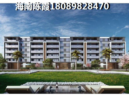 未来丰绅未来城还有touzi价纸吗？