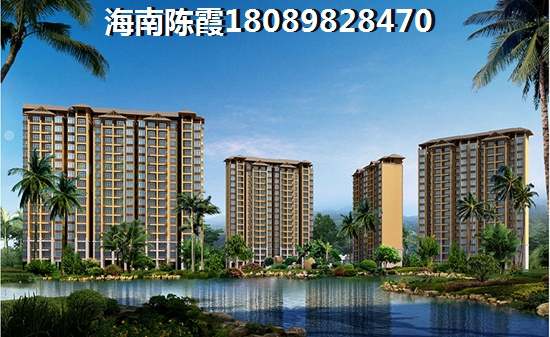 海南临高二手房生纸空间解析